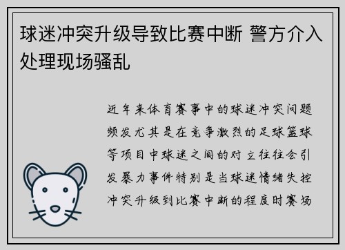 球迷冲突升级导致比赛中断 警方介入处理现场骚乱